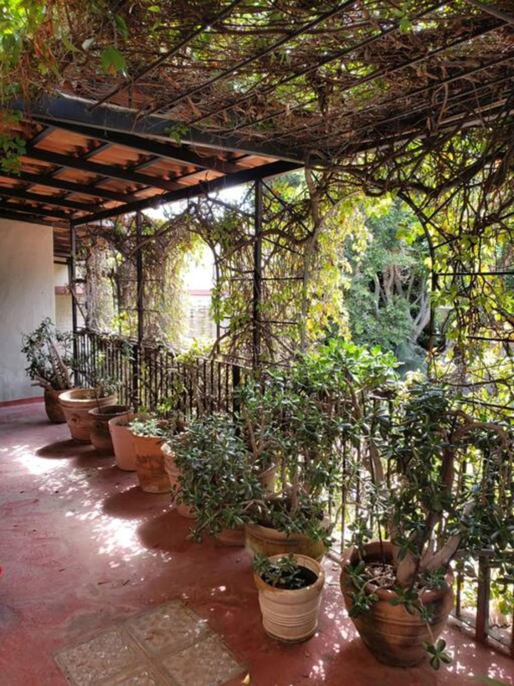 Enjoy Ac In The Queen'S Suite At Inn Ajijic Exteriér fotografie