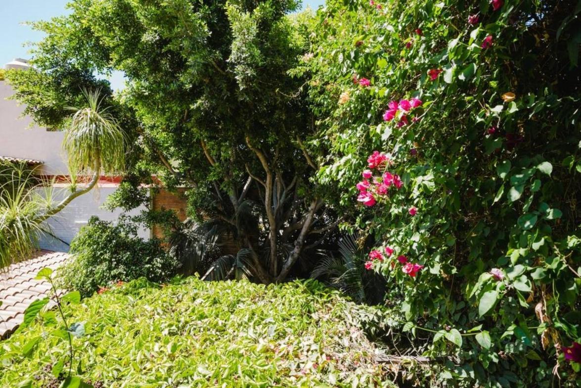 Enjoy Ac In The Queen'S Suite At Inn Ajijic Exteriér fotografie